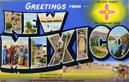 New Mexico SR22 State Guide with Compass